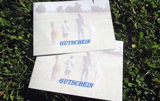Gutschein Alpaka-Wanderung