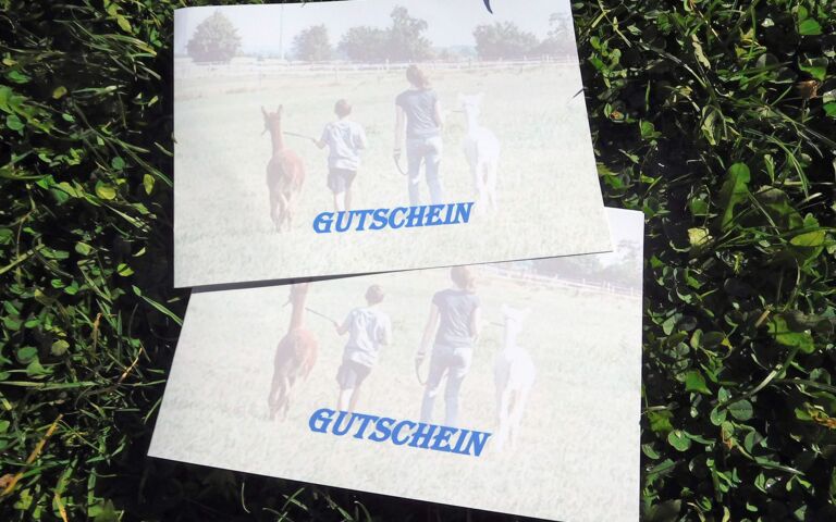 Gutschein Alpaka-Wanderung